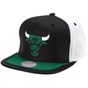 Mitchell & Ness Nba Chicago Bulls Day One Snapback (White/Green)