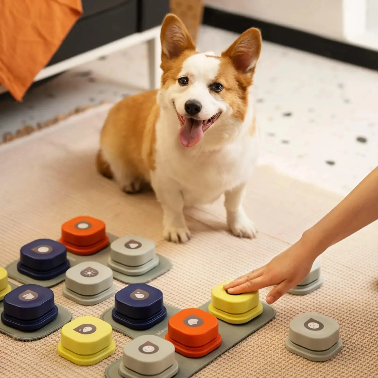 Talk-To-Me Pet Buttons